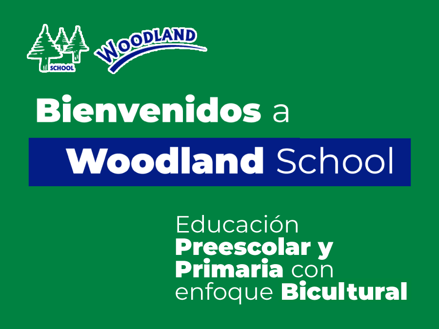 logo escuela